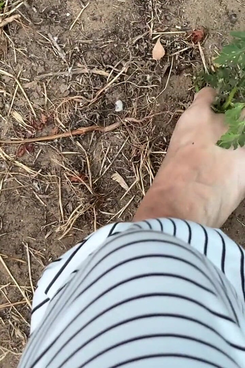 Dirty Feet in the Garden