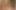ハバナジンジャーは超熱いお尻を持っています