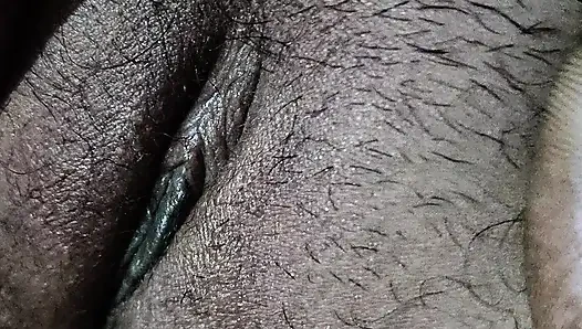 Indian desi bhabhi hairy pussy fingering for husband her tight pussy