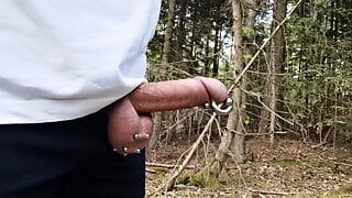 Возбужденная прогулка в лесу