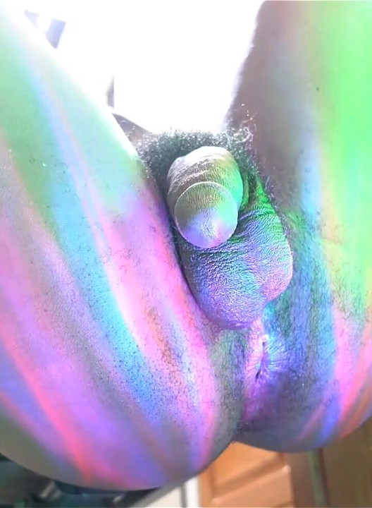 Love My Ass