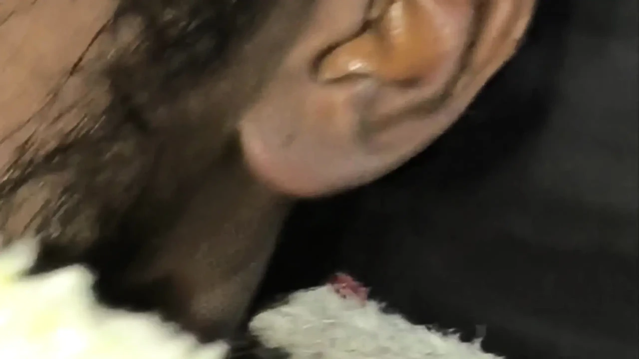 Bihar mommy likes to fuck Dirty Pooja's big black cock and take her throat deep