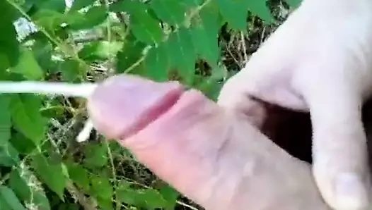 sperma