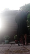 Pregled videozapisa