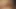 Vacuum - Queensnake.com - Queensect.com