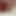 Peeing in the Bathroom During Orgasm Close-up, a Lot of Urine