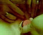 bbw dildo