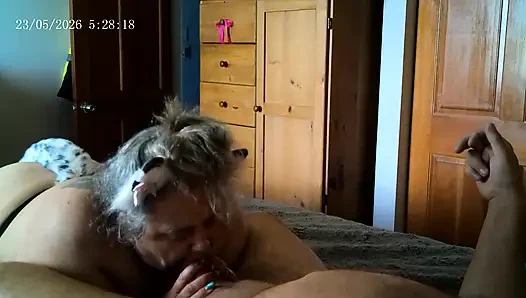 Kitty Meow Meow