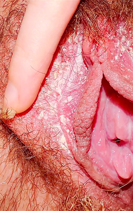 Creamy Pussy in Close-up.