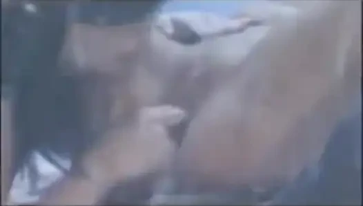 Сцена с порочными вокруг света 2