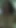 Must-share moment from "Very hairy granny fucking strangers dick in the woods"