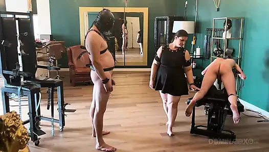 Piss Drenched Bound Slaves in Dominatrix Dungeon