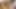Nasty Blondes Horny Threesome: Big Vibrator Masturbation and Hot Fuck with Big Dick Boy