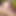 Tribadism Sexfight