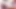 I'm so Horny, going to watch Porn and Masturbate (Shaking Orgasm)
