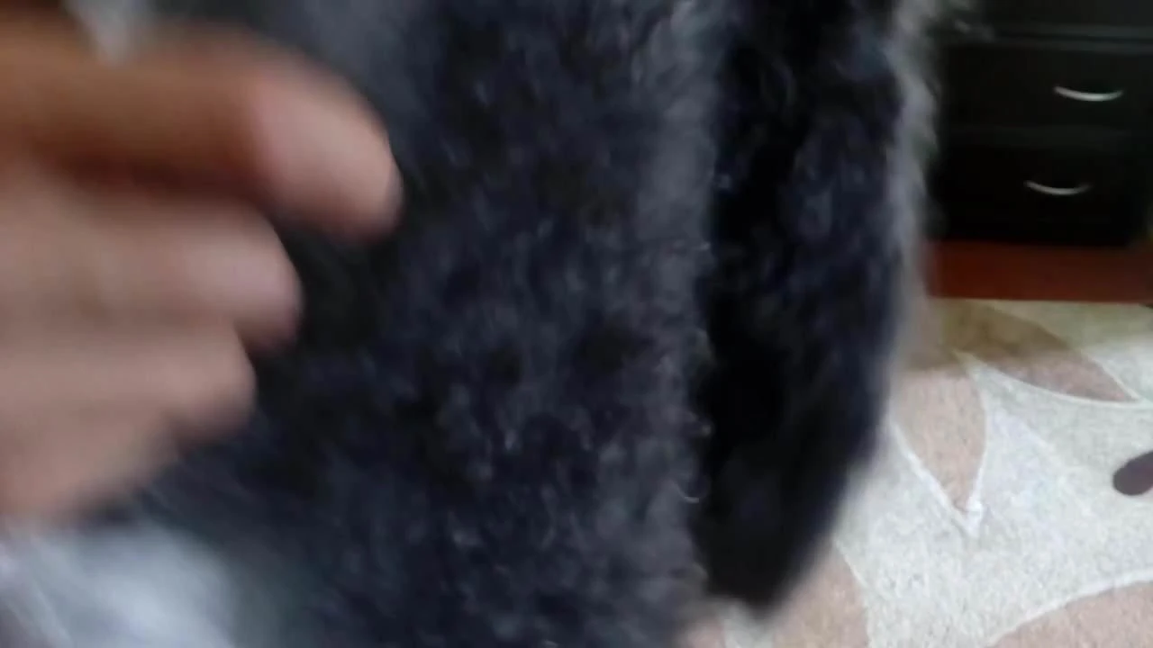 软游戏