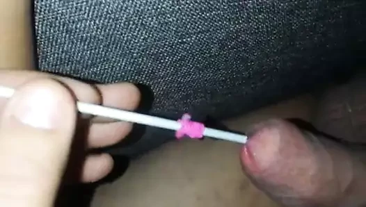 ses