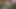 Indian village bhabhi new sex video in 2025.