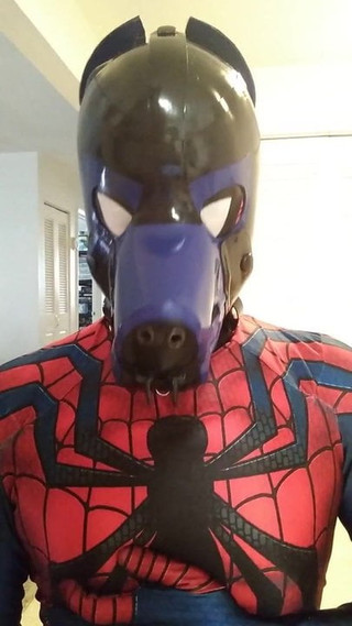 Spidey-dog parte 2