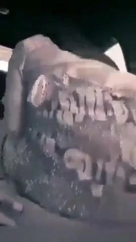 Muslim sex
