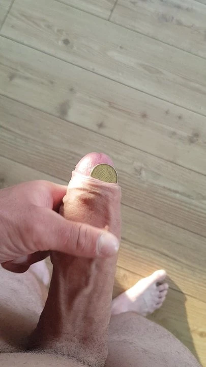 Penis