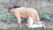 Pratinjau video