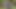 Posta adamını çimlerde sikiyor