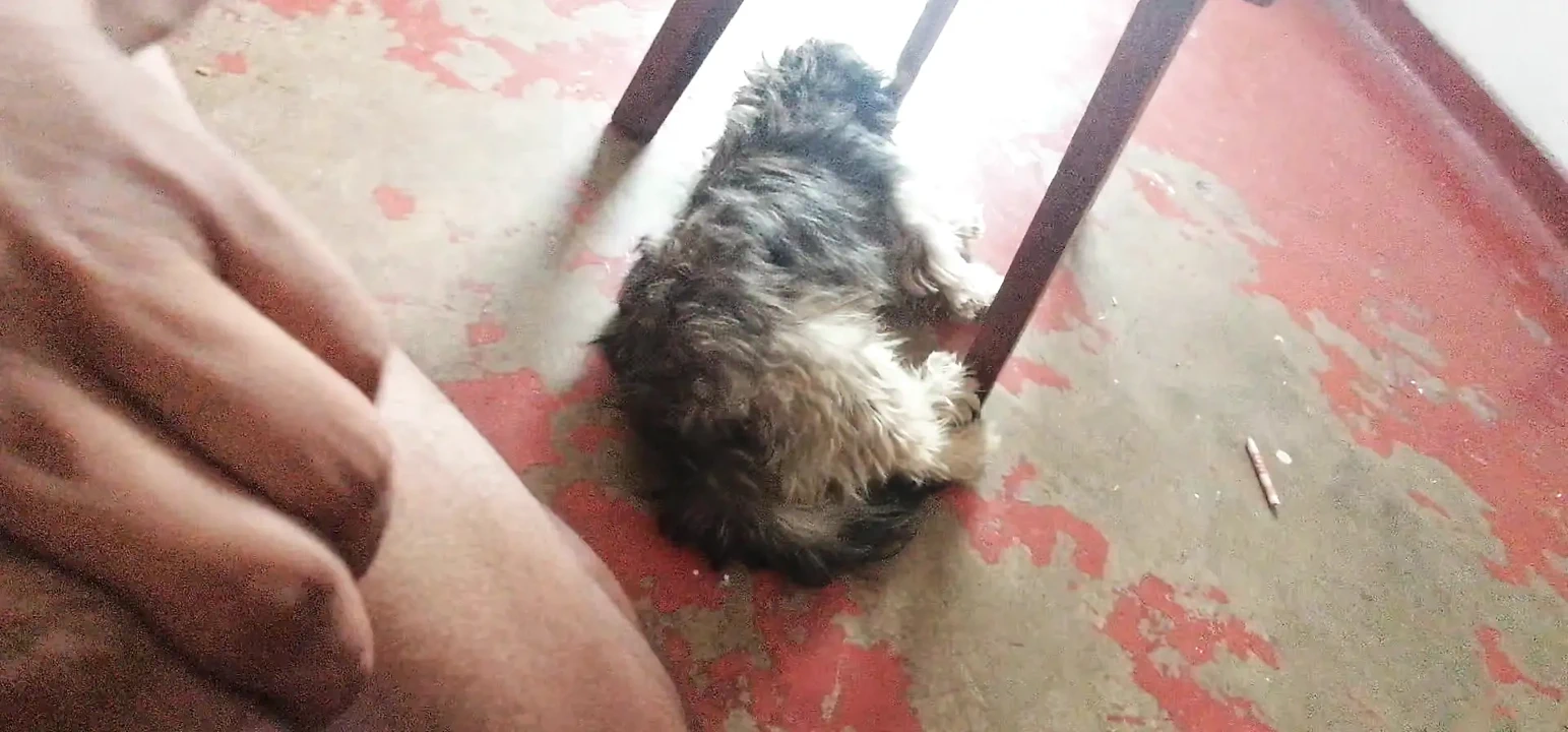 继母有一些需要独自在家