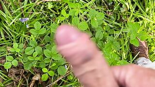 Punheta ao ar livre na floresta bluebell