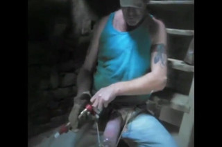 cock pumping sewer pigs