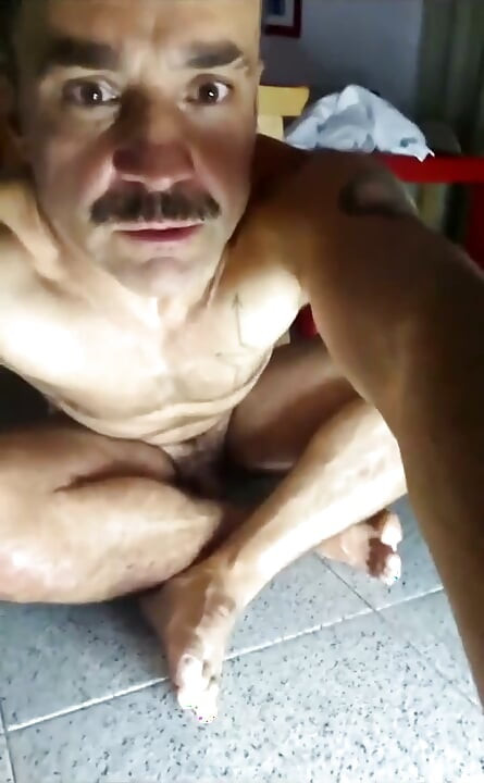 저녁 식사 전에 호니