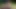 Romantik piknik, büyükbaba ve genç için seksi bir sikişmeye dönüşüyor