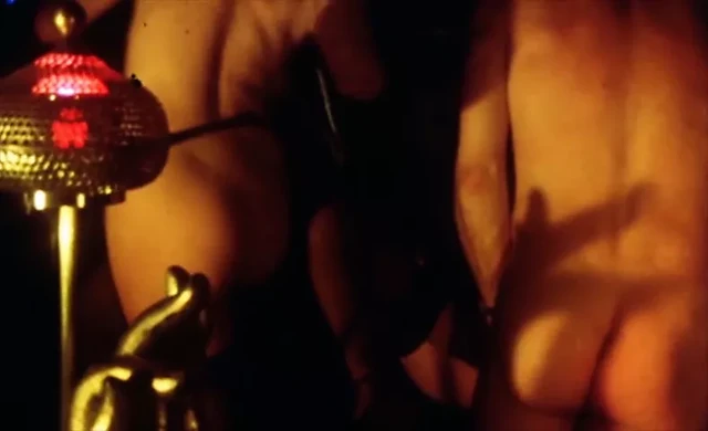 Anna cuisses entrouvertes (1979, France, Brigitte Lahaie)