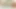 TRANSVR: The Karen Next Door!