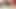 Busty milf öğretir genç amber nasıl için sikme ve takas boşalmak