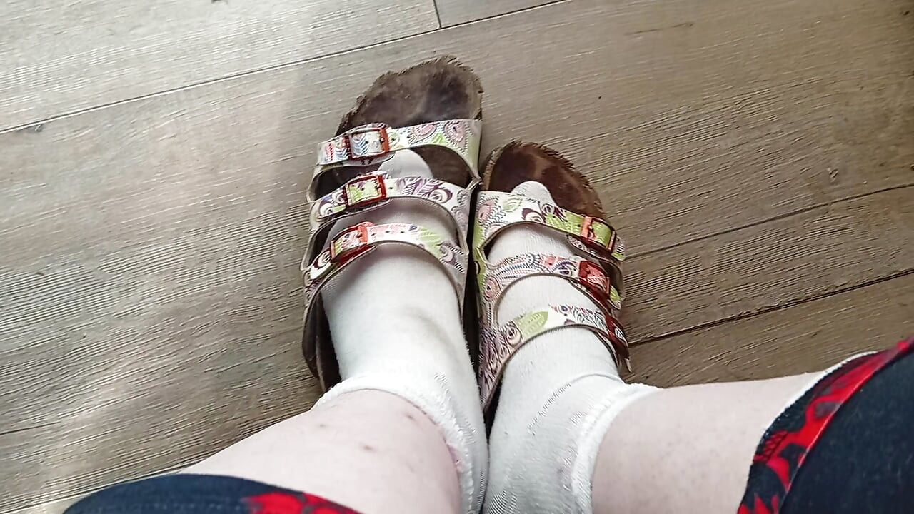בקשות משתמשים עבור My Birkenstock