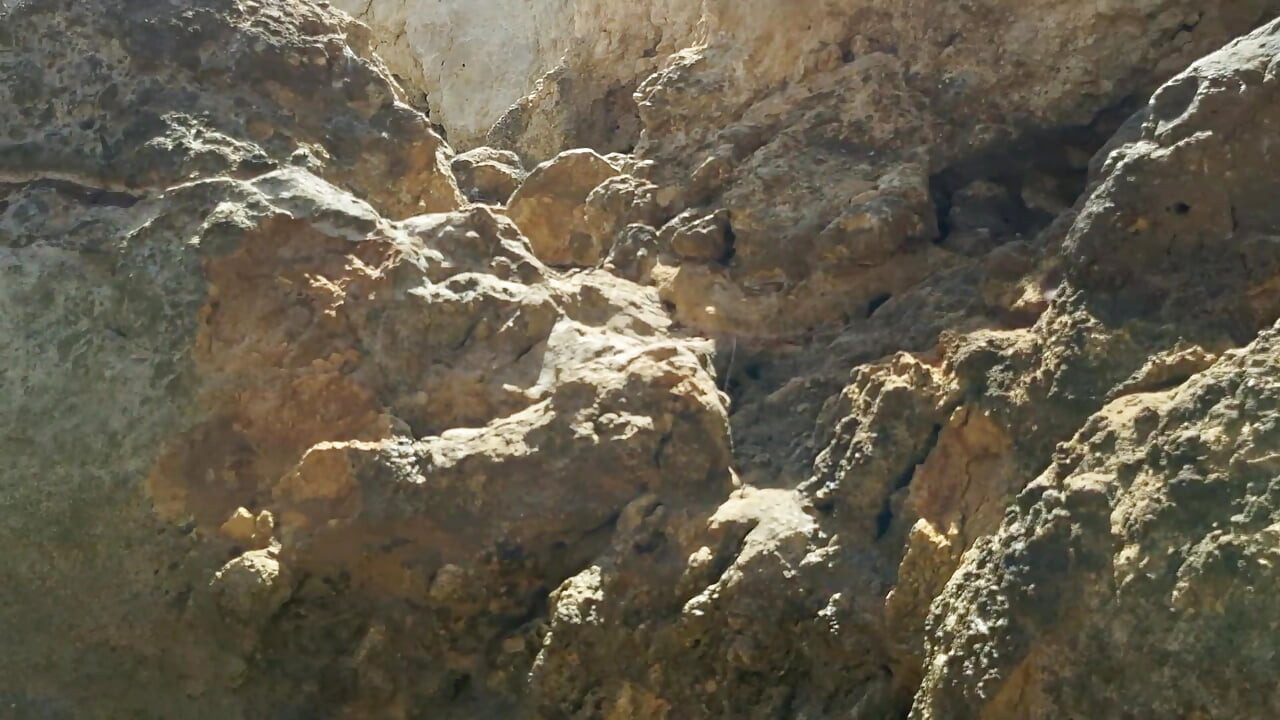 RISKY PUBLIC BEACH: I Strip Naked, Stroke My Cock in Multiple Spots, Walk Fully Nude & Cum Hard Outside. Almost Got Caught