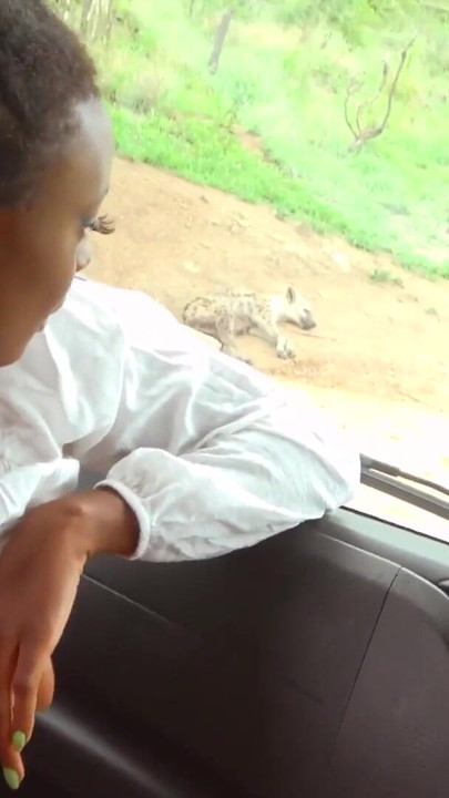 My cute EBONY safari guide took me away from the group & begged me to fuck her pussy ROUGH | Clip 1