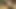 Precum ve boşalmak üzerinde bacak yapışkan yakın çekim