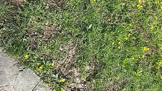 Sexy hot stepmom is horny and caresses herself on a park bench