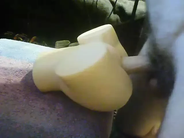 cock fucking