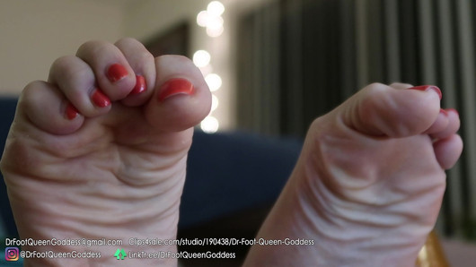 Pregled videozapisa