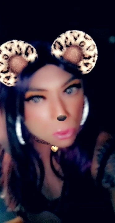 Seksi sidi enji braunsuga