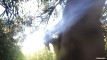 Pratinjau video