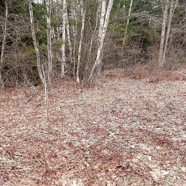 להשתין סקסית ביער כל כך מגניב