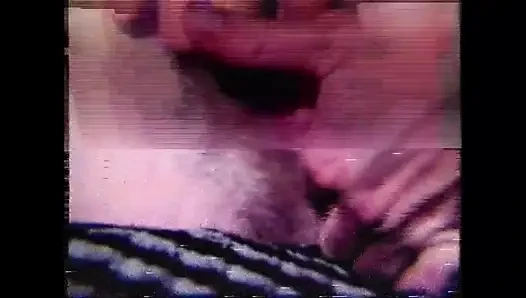 The Gozona Pig Gets Milk