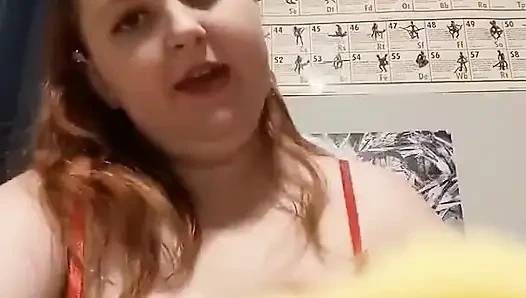 Spons kuda poni kecilku menggosok