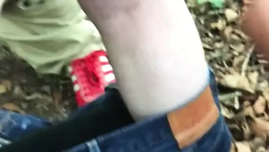 Asılı sikler ve büyük yükler için seyir