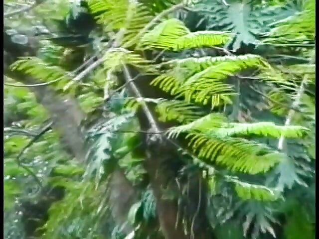 Tattooed tranny Barbara Kysivics with raven hair proposes her friend to take her hard schloeng in his asshole on the meadow