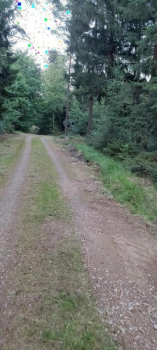 Naturistička staza